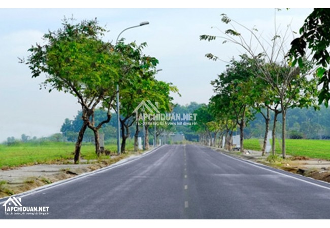 7 yếu tố hình thành nên cơn sốt gom mua đất của người Việt